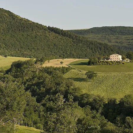 Casa Olivi